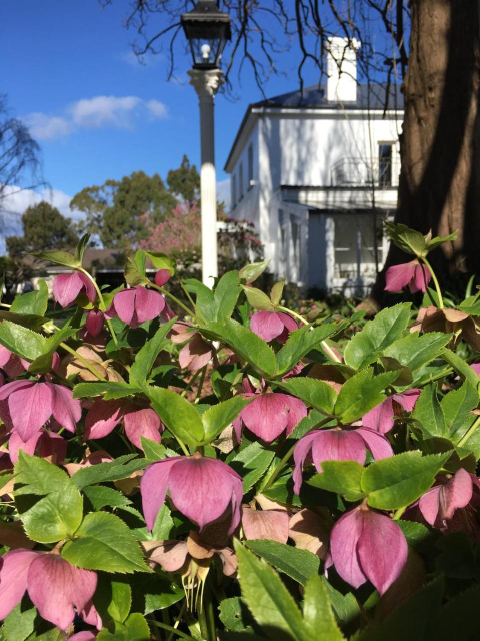 Bed and Breakfast Boscobel Of Tasmania Ulverstone Esterno foto